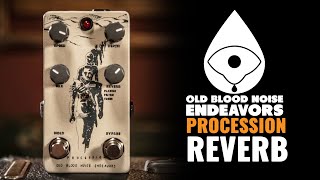 Old Blood Noise Endeavors Procession Reverb | CME Gear Demo | Shelby Pollard