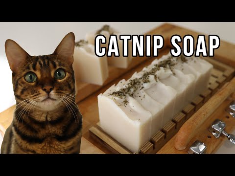 Making Catnip soap for cat 캣닢 비누 만들기