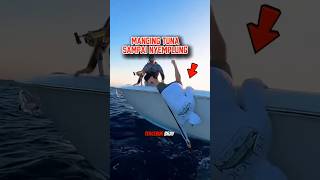 Download lagu ketika nekat mancing ikan tuna #shorts mp3