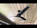Fanimation Spitfire Ceiling Fan