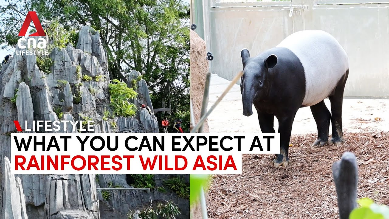 Discover Rainforest Wild Asia, Singapore's exciting new conservation haven!