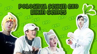 Download lagu KEPOLOSAN SEHUN EXO MELEBIHI BOCAH mp3 Download lagu KEPOLOSAN SEHUN EXO MELEBIHI BOCAH mp3