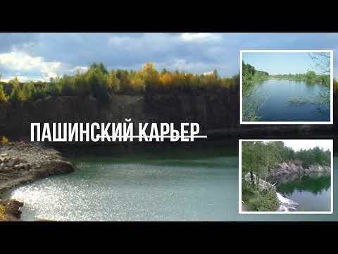 Пашинський кар’єр