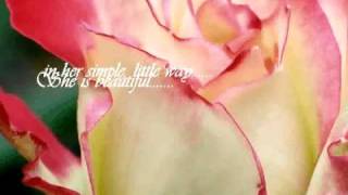Miranda Lambert-More like her(Lyrics)