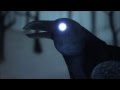 Alter Bridge - Blackbird [music video] Video by ...