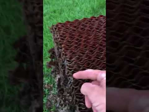 download lagu mp3 mp4 Poultry Pads, download lagu Poultry Pads gratis, unduh video klip Poultry Pads