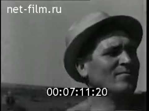 Заготовка кормов в совхозе Большое Алексеевское 1971 год