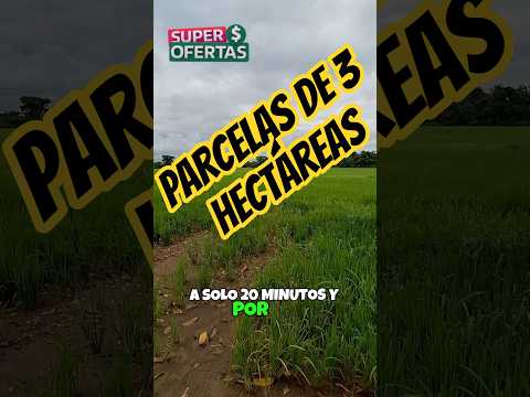 parcelas en granada meta, 3 hectáreas en adelante,  #granadameta #parcelas #realestate