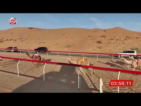  ش 6 (الشاهينيه) لـ مانع علي محمد بن حماد الشامسي 8:03 , شارة الديوان 2025/12/11 لقايا اللبسه  