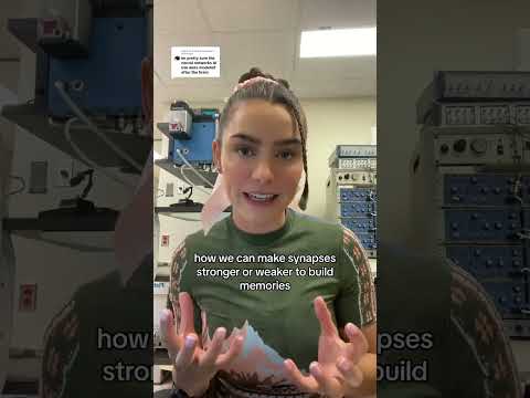 What do AI and neuroscience have in common? #neuroscience #ai #science #scientist