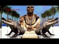 Flo Rida ft. Pitbull - Can't believe it [HD] Legendado ...