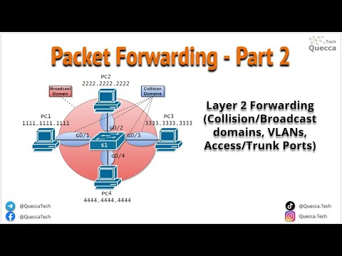 1.2. Layer 2 Forwarding - VLANs, Trunk and Access Ports Configuration, 802.1Q