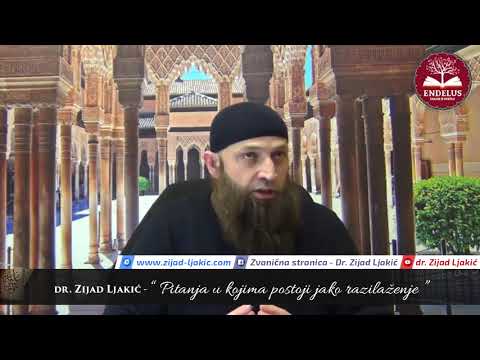 Pitanja u kojima postoji jako razilaženje - dr. Zijad Ljakić