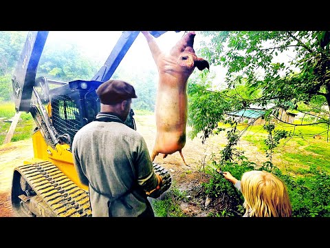 Guiding A Newbie in BUTCHERING PIGS