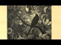 DISCODEINE - SINGULAR FEAT. MATIAS AGUAYO ...