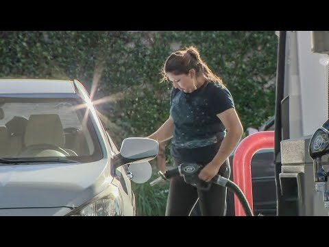 'Insane' fuel prices shock Bay Area drivers used to paying more