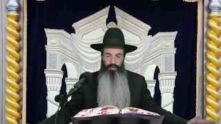 הרב נתנאל אביסרור מעלת השמחה בחודש אדר על פי החסידות פרשת תרומה (בית הכנסת מוסאיוף) - התמונה מוצגת ישירות מתוך אתר האינטרנט יוטיוב. זכויות היוצרים בתמונה שייכות ליוצרה. קישור קרדיט למקור התוכן נמצא בתוך דף הסרטון