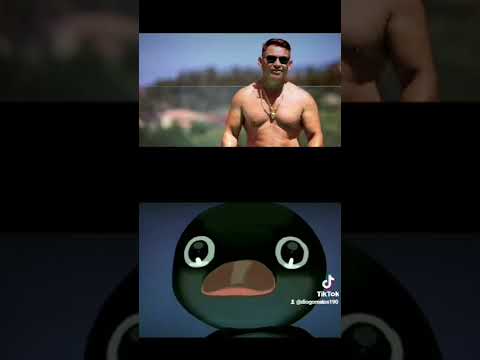 Que homem, que poeta, que leão. Agostinho Figueira