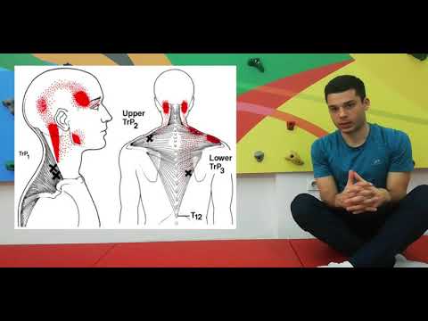 VISOK KRVNI PRITISAK I GLAVOBOLJE   KAKO VEŽBE ZA LEDJA POMAŽU