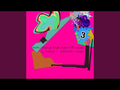 ACAB (Amami Come Ameresti Bambi) (feat. Willie Peyote) (Lavatrice Remix)