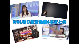 【切り抜きまとめ動画】WNL切り抜き動画４本まとめ動画【ウェザーニュースLIVE切り抜き】【切り抜き総集編】
