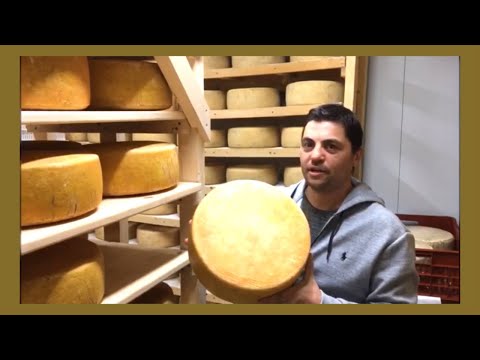 Presentació SANT GIL D'ALBIÓ - firesvirtuals.cat