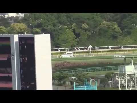 2014 東京優駿 日本ダービー ワンアンドオンリー JAPANESE DERBY One And Only