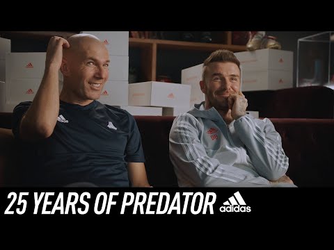25 Years Of Predator