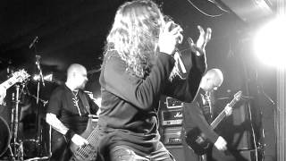 Butterfly temple-Степная кобылица