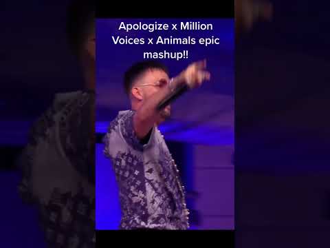Apologize x Million Voices x Animals epic mash up at Tomorrowland