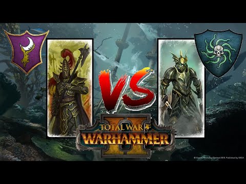 A WILD ELITE INFANTRY UNIT APPEARS | Vampire Coast vs Dark Elves - Total War Warhammer 2