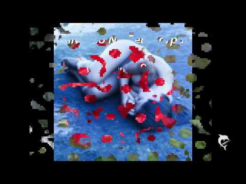 Taiguara  -  Universo No Teu Corpo  ( A Canção )