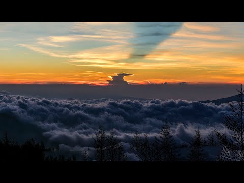 Android アップデート後: 多くのユーザーが突然フロントカメラを持たなくなりました