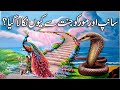 Sanp Or Mor Ko Janat Sy Q Nikala Gia Hazrat Adam AS Or Hazrat Hawa AS Ka Qissa Tabinda Voice