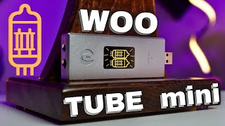 Has WOO Changed The Portable Hi-Fi Game?  Checking out the WOO Tube Mini!