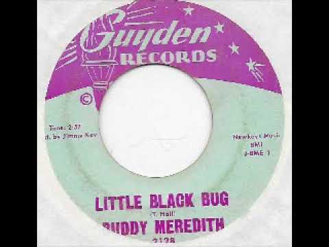 Buddy Meredith   Little Black Bug