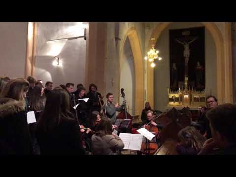 Gruber, F.X. / Mohr J. / Aljaž J. / prir. Tine Bec : SVETA NOČ za mešani zbor s spremljavo godal