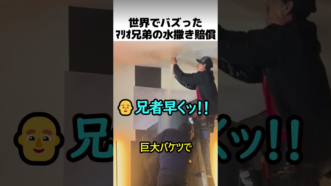 マリオ配管の水撒き賠償