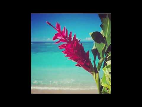 Tatala Maia Le Auafa by Vaeagi Su'a