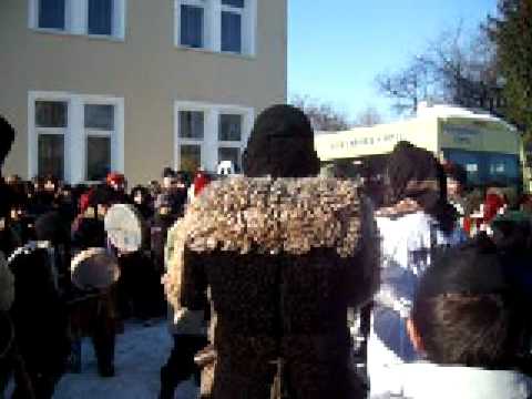 mascati petricani neamt