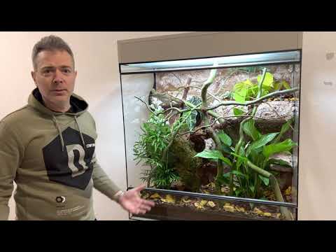 ChameleonFarm - A legszebb siófoki(g) guruló terrárium szett