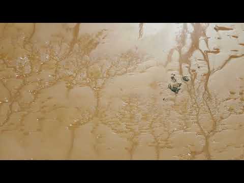 Evangeline Beach,Grand Pre Nova Scotia