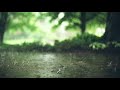 Rain Bgm Whatsapp Statusll Rainy Day Feel The Music Rain Whatsapp Status Rain Bgm
