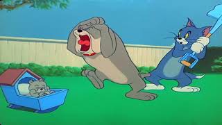 Tom and Jerry  Episode 82  Hic cup Pup Part 1