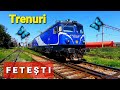 Trenuri FETESTI Jud Ialomita M 800