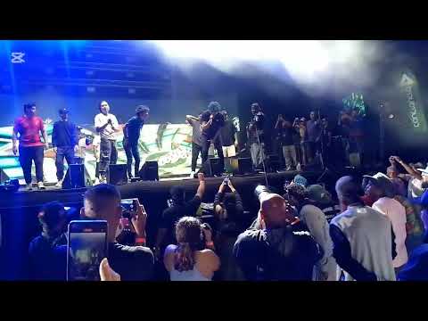 Letra, Chang, Mcklopedia, Lou T, Puppy, Ramón Antonio, Marginal y Cristonita (Batalla de Exhibición)