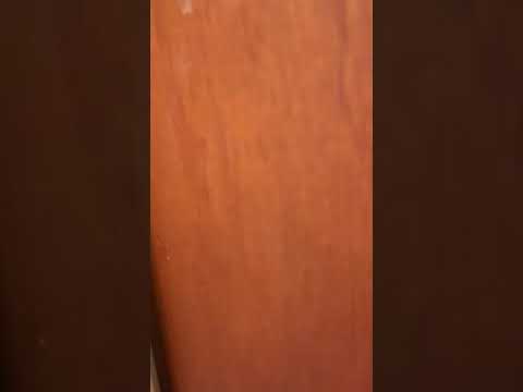 Virtual Tour - Newport Road