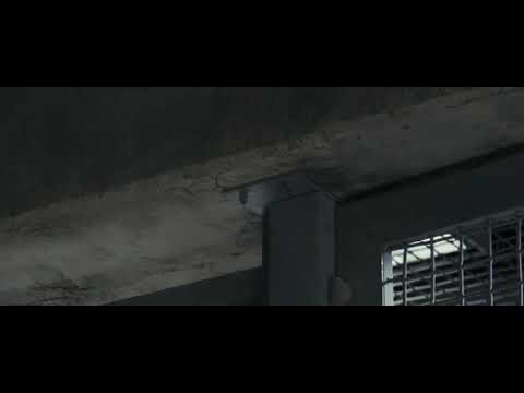 Gorila vs helicopter