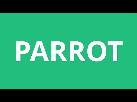How To Pronounce Parrot - Pronunciation Academy