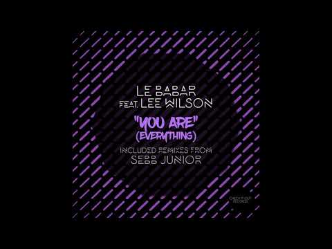 Le Babar, Lee Wilson - You Are (Everything) (Part 2) Sebb Junior Remix